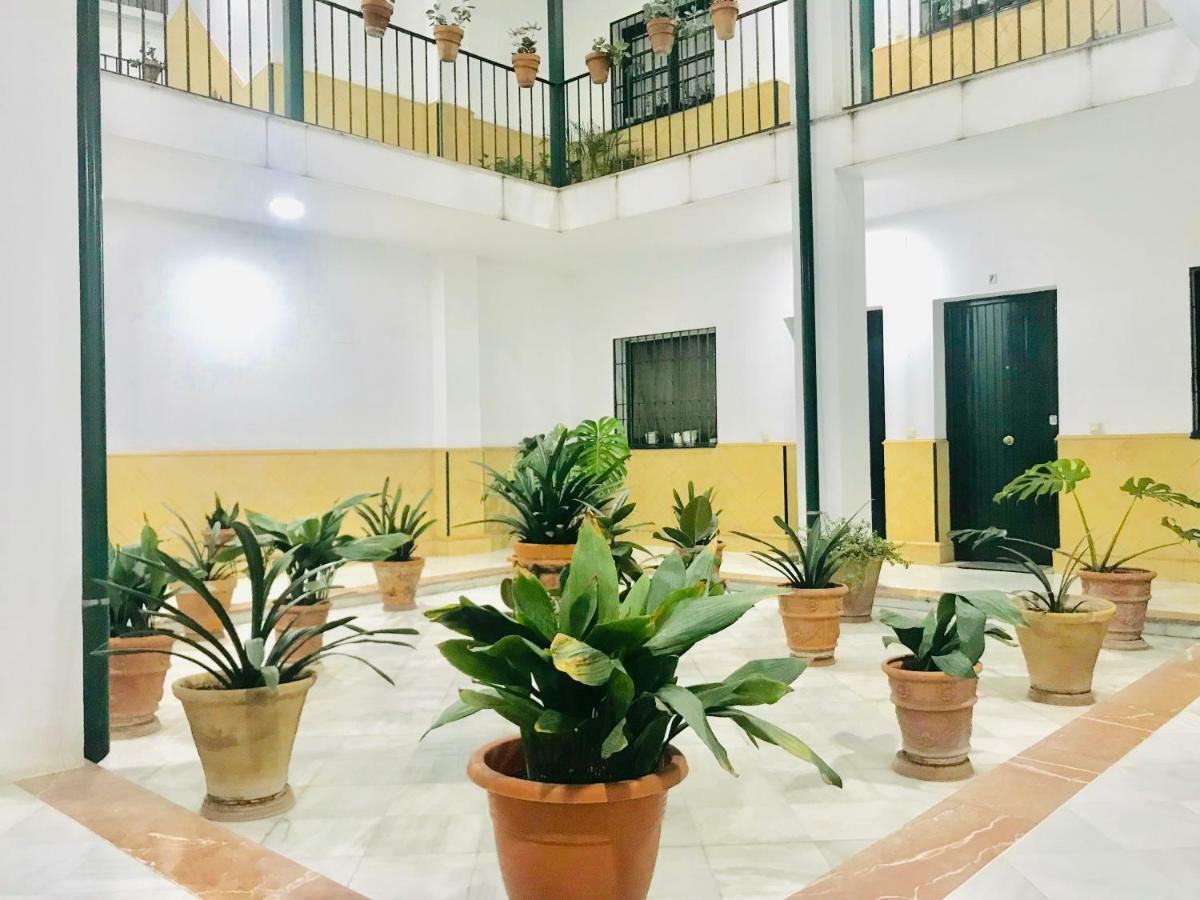 Los Patios De La Juderia Séville Extérieur photo